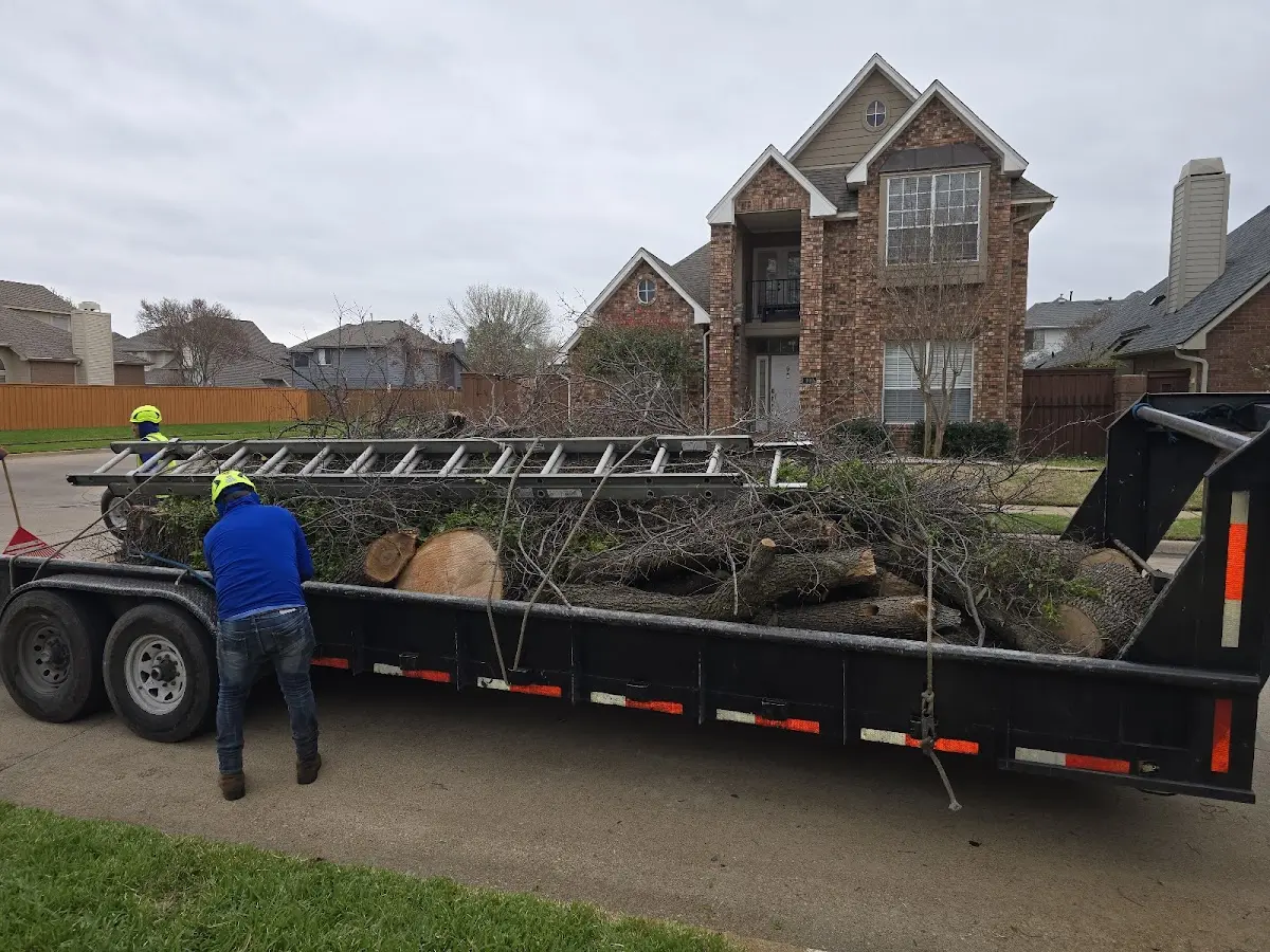 Expert Lot Clearing with proper safety equipment in Caneadea